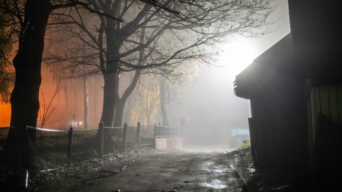 a foggy street with trees and buildings